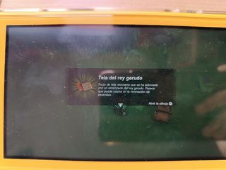 Ganondorf TotK