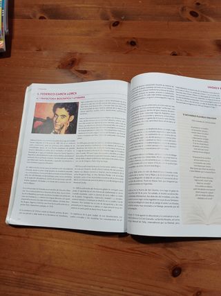 Lengua Castellana y Literatura 