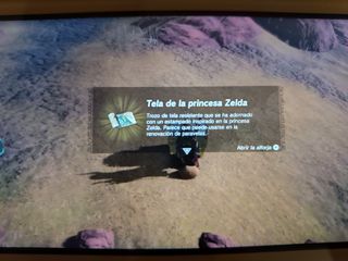 Zelda TotK 