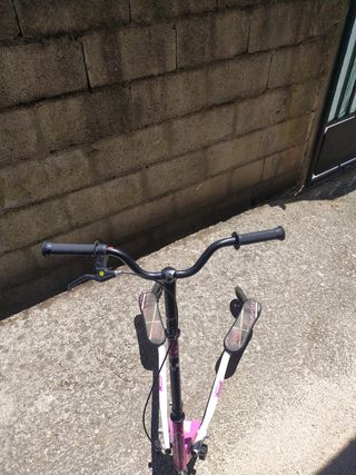 Patinete Triwil