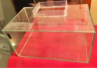 ACUARIO TAMAÑO MEDIANO