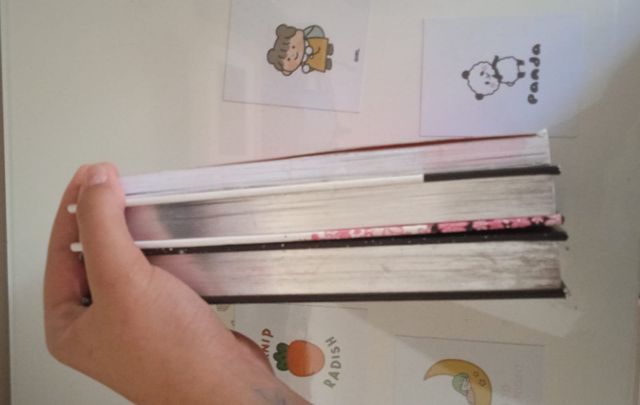 Set libros isadora moon