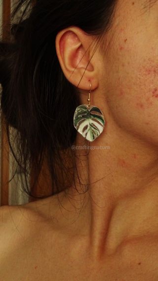 Pendientes 🌿Monstera variegata albo