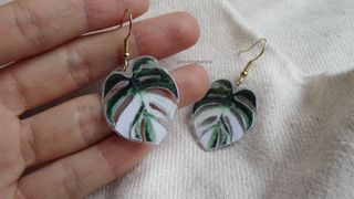 Pendientes 🌿Monstera variegata albo