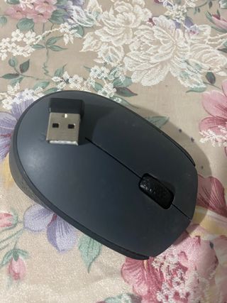 Ratón inalámbrico