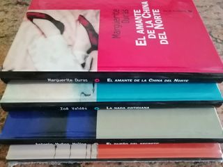 Lote Literatura