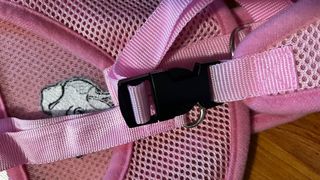 arnés de malla para perro .