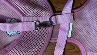 arnés de malla para perro .