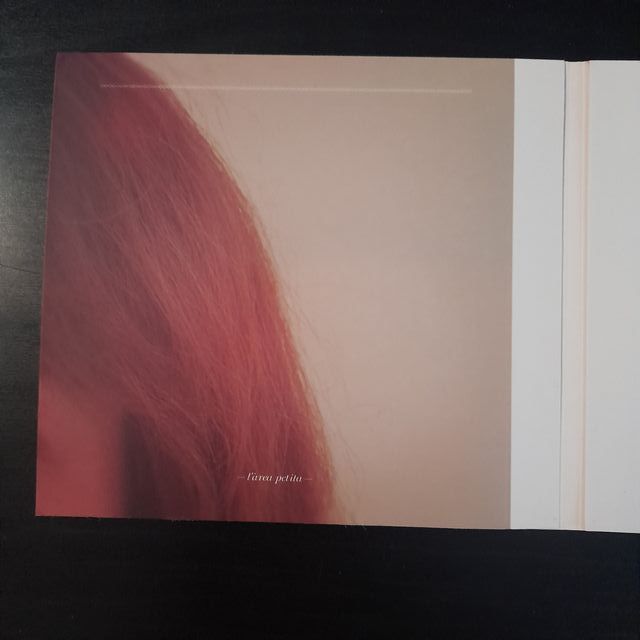 Els Pets ‎– L'Àrea Petita