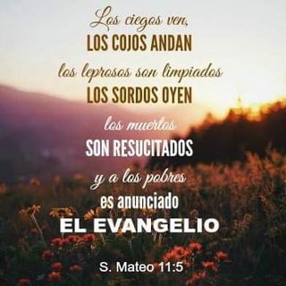 alquilo habitación para chica