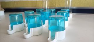 bebederos para pájaros