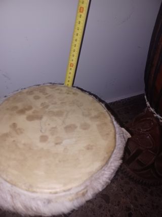 timbal