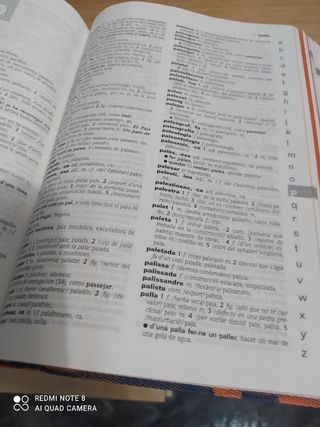 Diccionario bilingüe