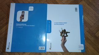 Matemáticas aplicadas a las CCSS I