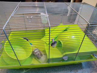 Jaula hamster