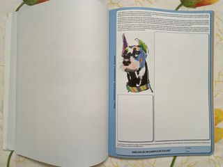 Educación Plástica, Visual y Audiovisual I (1°ESO)