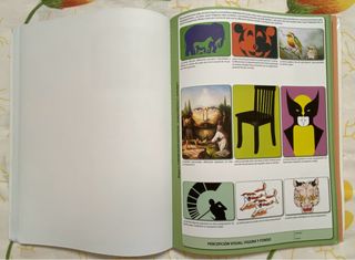 Educación Plástica, Visual y Audiovisual I (1°ESO)