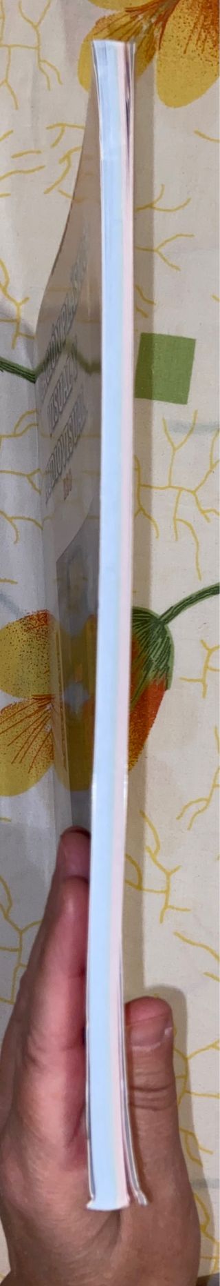 Educación Plástica, Visual y Audiovisual I (1°ESO)