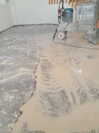 reformas profesionales.