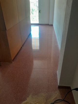 reformas profesionales.