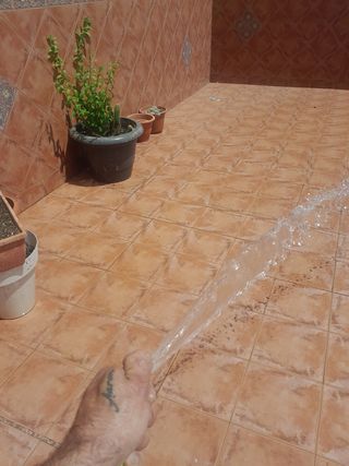 reformas profesionales.