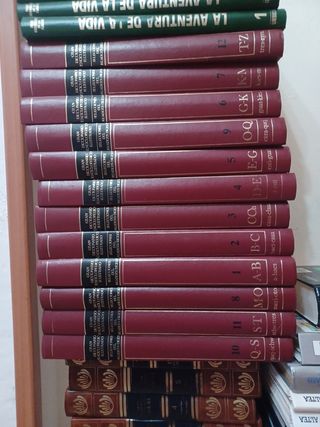 Lote de libros y enciclopedias