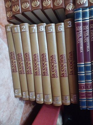 Lote de libros y enciclopedias