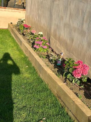 jardineria