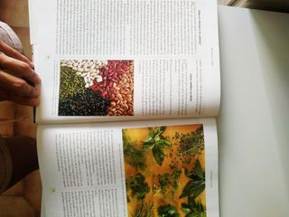 Oportunidad libro:Cocina vegetariana