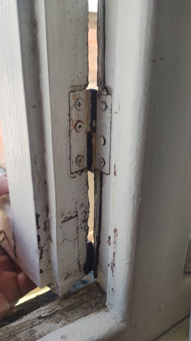 carpintero de madera profesional