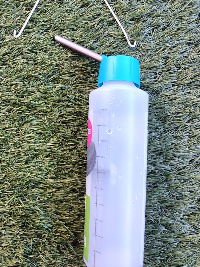 Bebedero para roedor