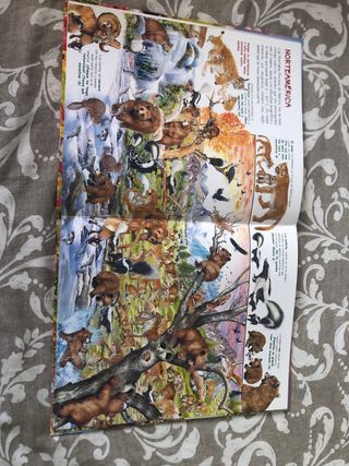 Libro de "Busca a los animales y a sus crías"