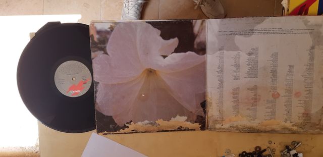 Disco de vinilo. Seguridad social.