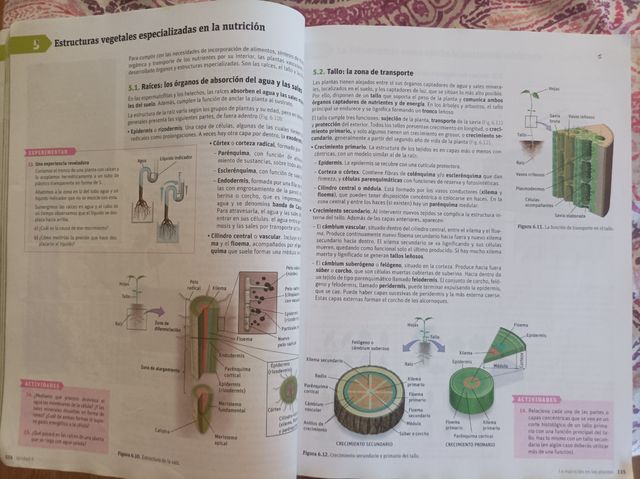 Biología y Geología 1- bachillerato