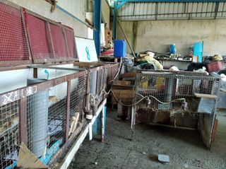 Se venden jaulas de conejos, grandes, pequeñas...