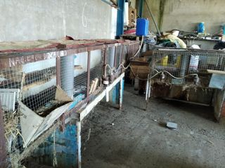 Se venden jaulas de conejos, grandes, pequeñas...