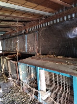 Se venden jaulas de conejos, grandes, pequeñas...