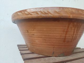 lebrillo antiguo maceta