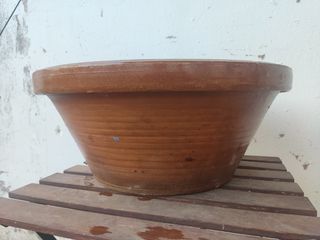 lebrillo antiguo maceta