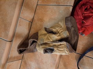 vestiti cane vedi foto