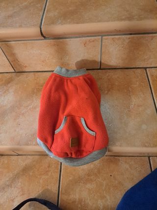 vestiti cane vedi foto