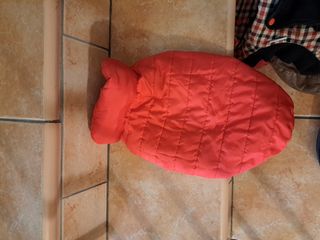 vestiti cane vedi foto