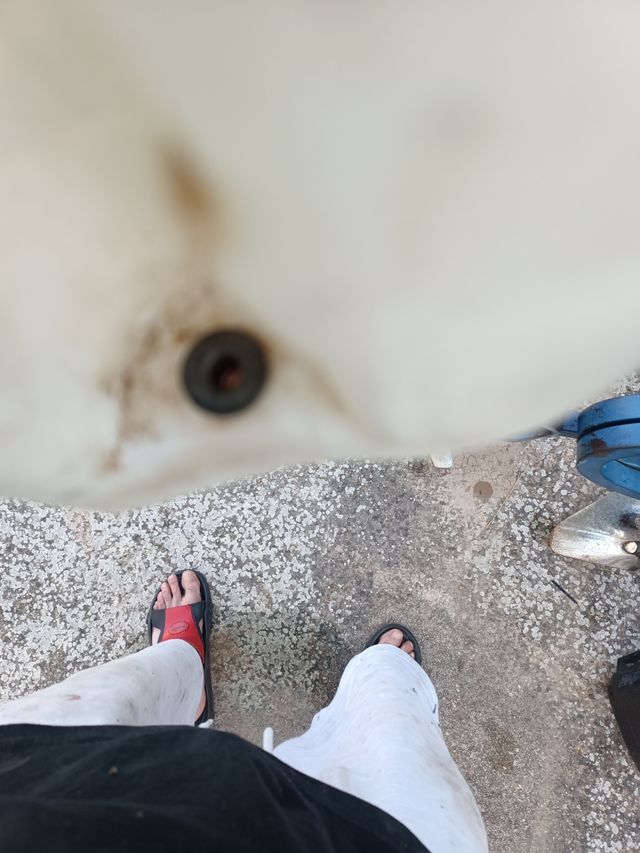 depósito de limpiaparabrisas super 5 gts 