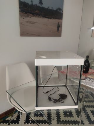 pecera cuadrada con luz muy bonita