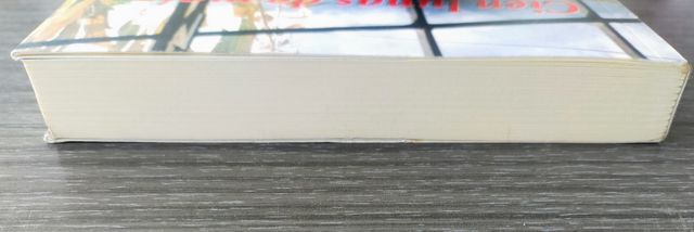 🌽 CIEN LUNAS DE MAIZ 🌽