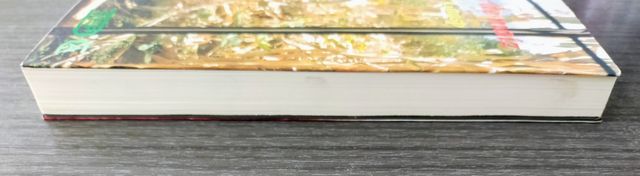 🌽 CIEN LUNAS DE MAIZ 🌽