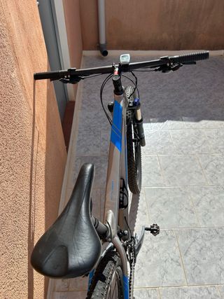 Trek xcaliber 7 29” 