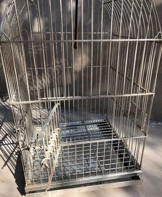 Jaula grande