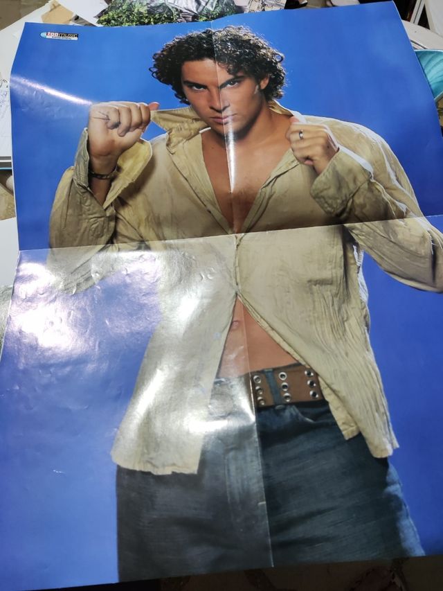 Collezione David Bisbal