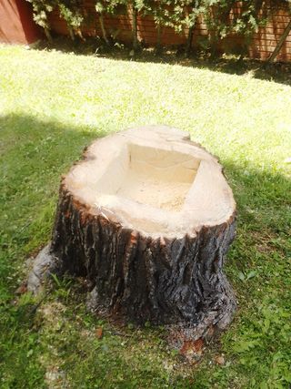 Poda en altura